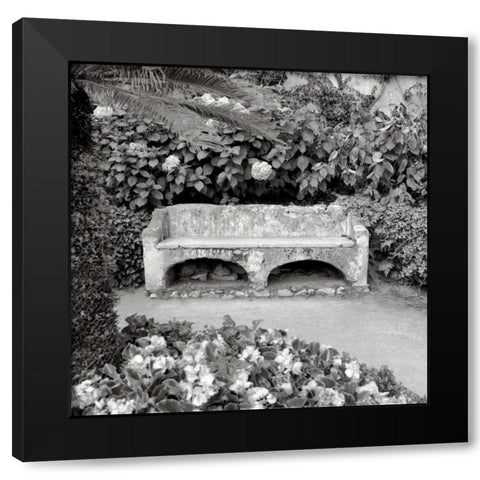 Campagnia - 1 Black Modern Wood Framed Art Print by Blaustein, Alan