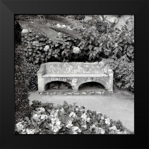 Campagnia - 1 Black Modern Wood Framed Art Print by Blaustein, Alan