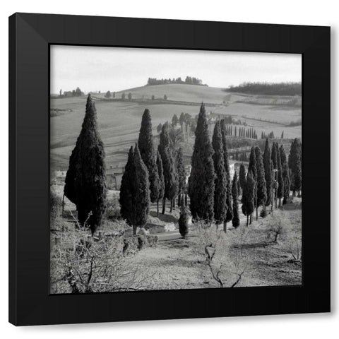 Tuscany - 4 Black Modern Wood Framed Art Print by Blaustein, Alan