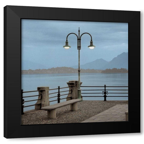 Lake Vista - 5 Black Modern Wood Framed Art Print with Double Matting by Blaustein, Alan