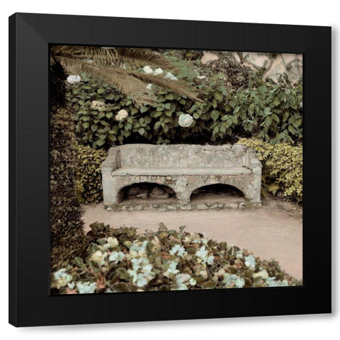 Campagna - 1 color Black Modern Wood Framed Art Print by Blaustein, Alan