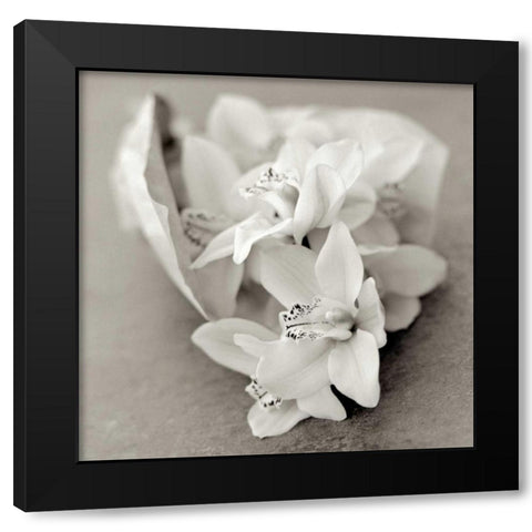 Florison - 27 Black Modern Wood Framed Art Print with Double Matting by Blaustein, Alan