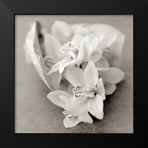 Florison - 27 Black Modern Wood Framed Art Print by Blaustein, Alan