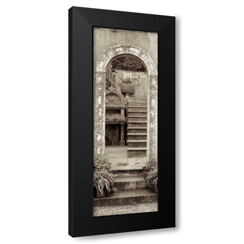 Lombardy - 5 Black Modern Wood Framed Art Print by Blaustein, Alan