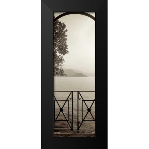 Lombardy - 6 Black Modern Wood Framed Art Print by Blaustein, Alan