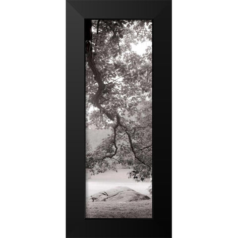 Hampton Field Tree - 1 Black Modern Wood Framed Art Print by Blaustein, Alan
