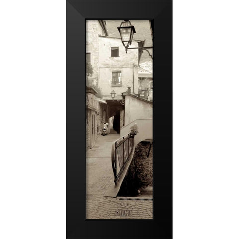 Lombardy - 3 Black Modern Wood Framed Art Print by Blaustein, Alan