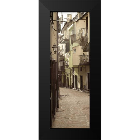 Liguria - 6 Black Modern Wood Framed Art Print by Blaustein, Alan