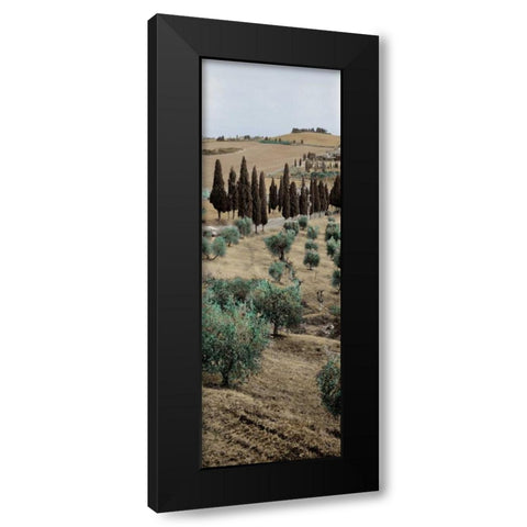 Tuscany - 13 Black Modern Wood Framed Art Print with Double Matting by Blaustein, Alan