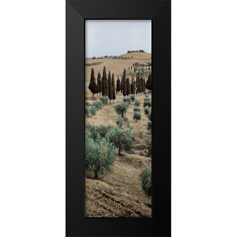 Tuscany - 13 Black Modern Wood Framed Art Print by Blaustein, Alan