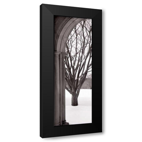 Hampton Winter Arch Black Modern Wood Framed Art Print with Double Matting by Blaustein, Alan