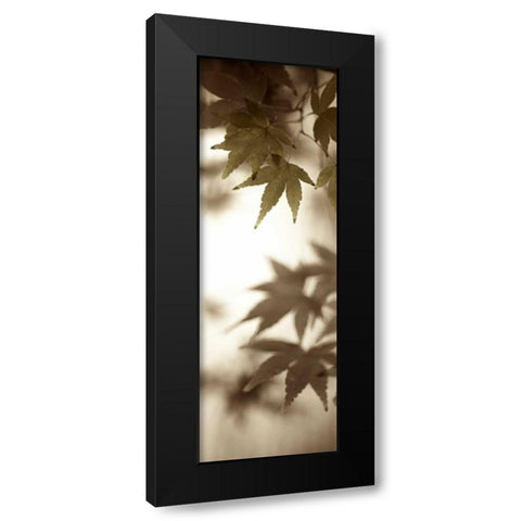 Florison - 97 Black Modern Wood Framed Art Print with Double Matting by Blaustein, Alan