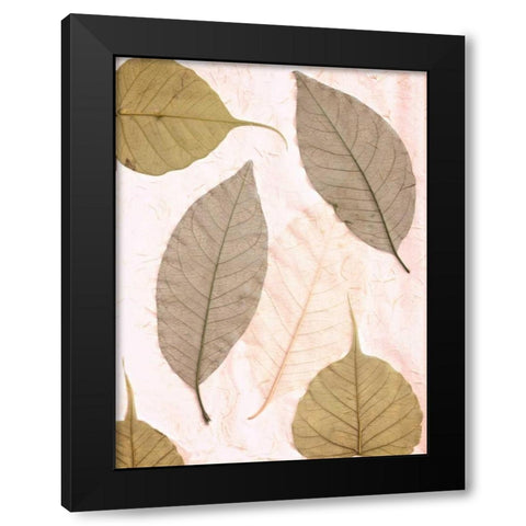 Floral - 23 Black Modern Wood Framed Art Print with Double Matting by Blaustein, Alan