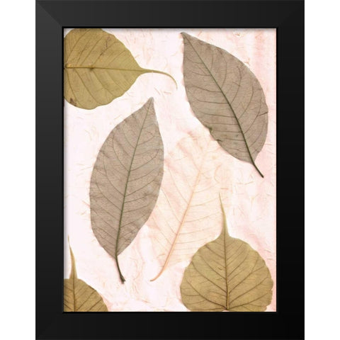 Floral - 23 Black Modern Wood Framed Art Print by Blaustein, Alan