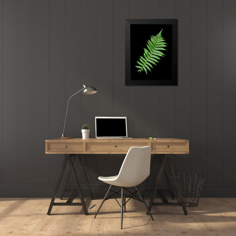 Floral Color - 18 Black Modern Wood Framed Art Print by Blaustein, Alan