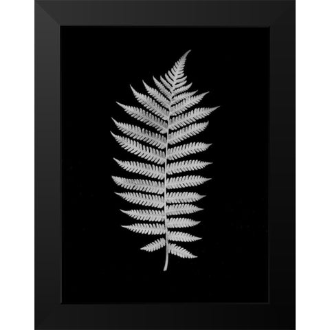 Floral B-W - 19 Black Modern Wood Framed Art Print by Blaustein, Alan