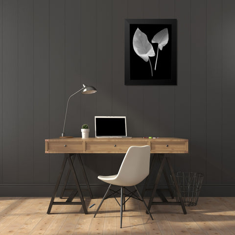 Floral B-W - 24 Black Modern Wood Framed Art Print by Blaustein, Alan