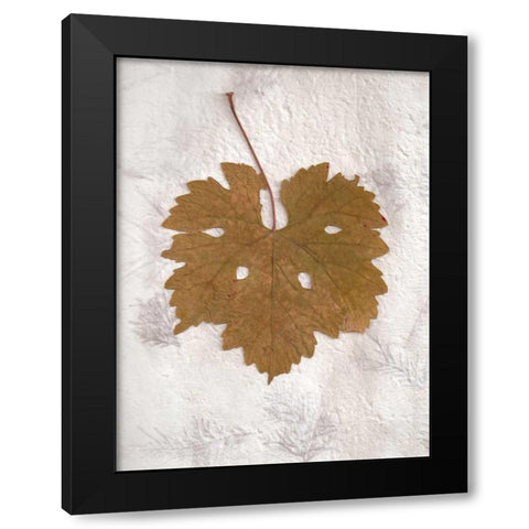 Floral - 28 Black Modern Wood Framed Art Print with Double Matting by Blaustein, Alan