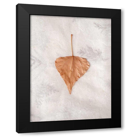 Floral - 29 Black Modern Wood Framed Art Print with Double Matting by Blaustein, Alan