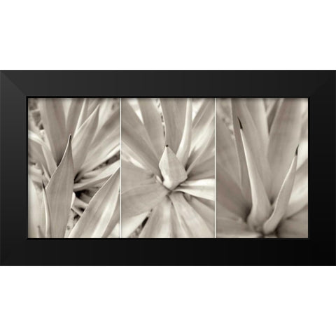 Floral Panel - 4 Black Modern Wood Framed Art Print by Blaustein, Alan