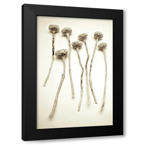 Garden Bloom - 17 Black Modern Wood Framed Art Print with Double Matting by Blaustein, Alan
