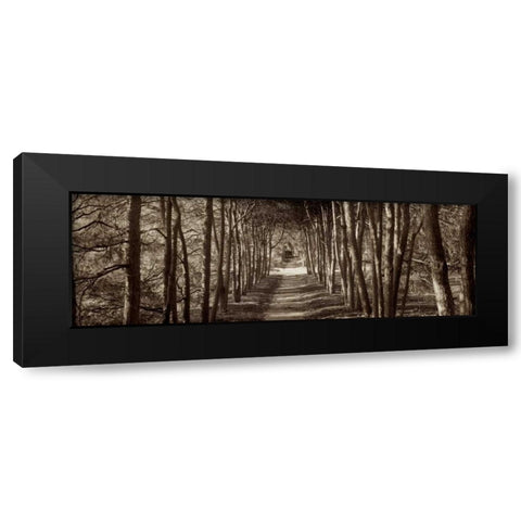 Hampton Gates Promenade - 2 Black Modern Wood Framed Art Print by Blaustein, Alan