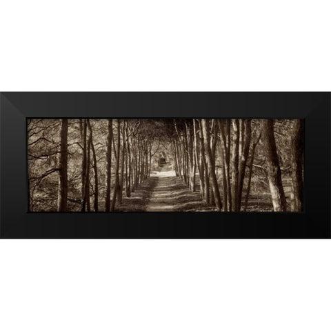 Hampton Gates Promenade - 2 Black Modern Wood Framed Art Print by Blaustein, Alan