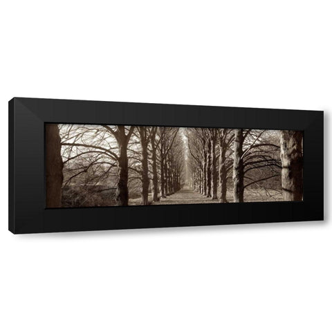 Hampton Gates Promenade - 1 Black Modern Wood Framed Art Print by Blaustein, Alan
