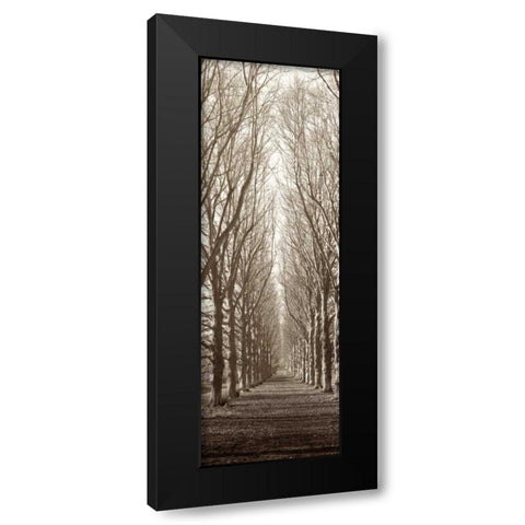 Hampton Gates Promenade Black Modern Wood Framed Art Print with Double Matting by Blaustein, Alan