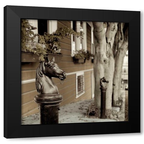 Hitching Post - 5 Black Modern Wood Framed Art Print by Blaustein, Alan