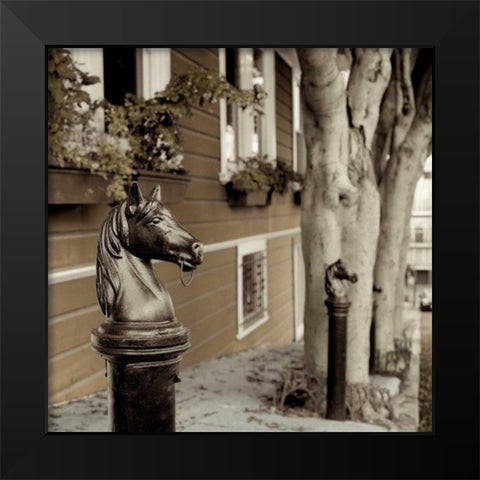 Hitching Post - 5 Black Modern Wood Framed Art Print by Blaustein, Alan