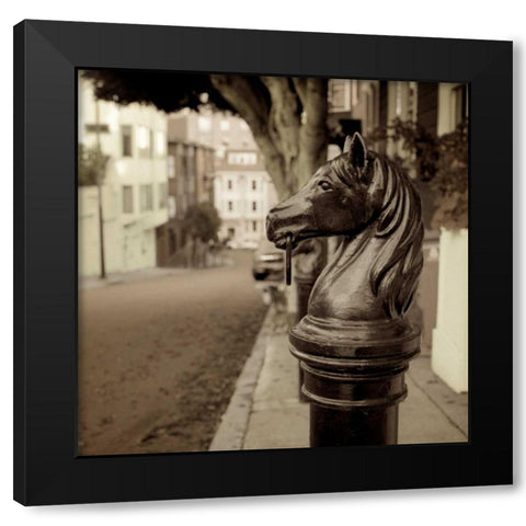 Hitching Post - 7 Black Modern Wood Framed Art Print with Double Matting by Blaustein, Alan