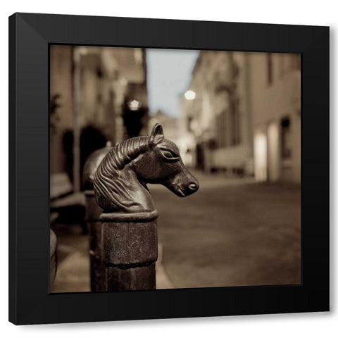 Hitching Post - 4 Black Modern Wood Framed Art Print with Double Matting by Blaustein, Alan