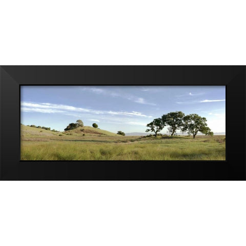Oak Tree - 82 Black Modern Wood Framed Art Print by Blaustein, Alan