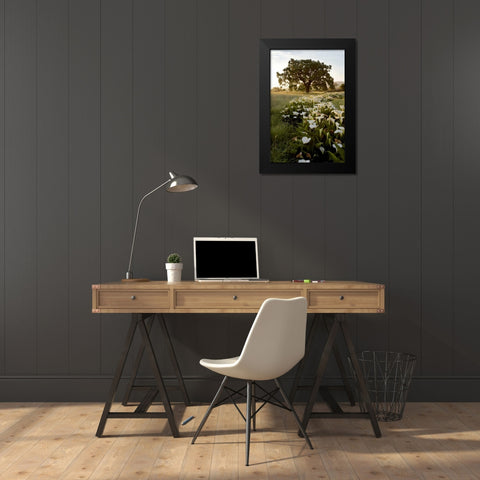 Oak Tree - 88 Black Modern Wood Framed Art Print by Blaustein, Alan