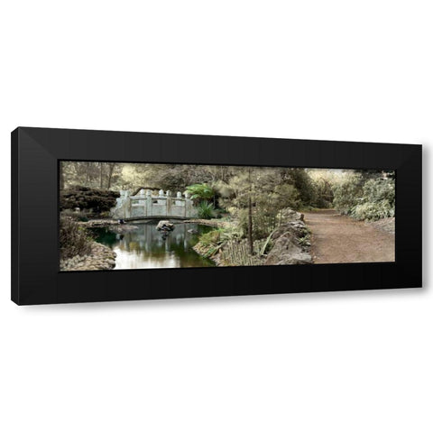 Golden Gate Park - 11 Black Modern Wood Framed Art Print by Blaustein, Alan