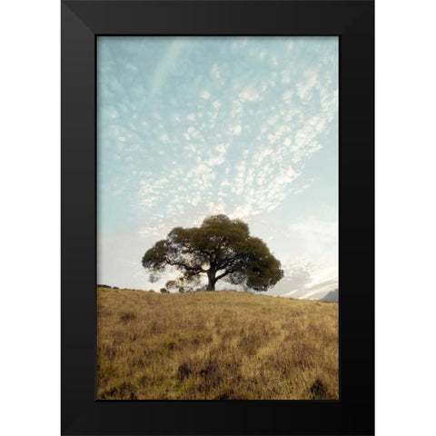 Oak Tree - 12 Black Modern Wood Framed Art Print by Blaustein, Alan