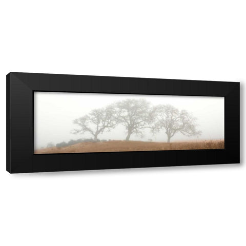 Oak Tree - 15 Black Modern Wood Framed Art Print by Blaustein, Alan