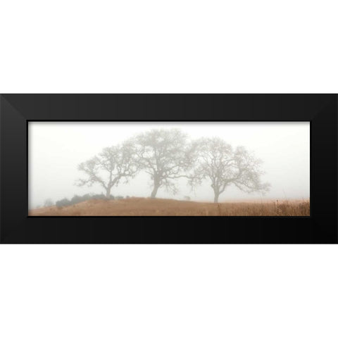 Oak Tree - 15 Black Modern Wood Framed Art Print by Blaustein, Alan