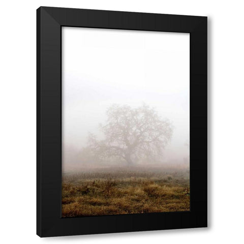 Oak Tree - 29 Black Modern Wood Framed Art Print by Blaustein, Alan