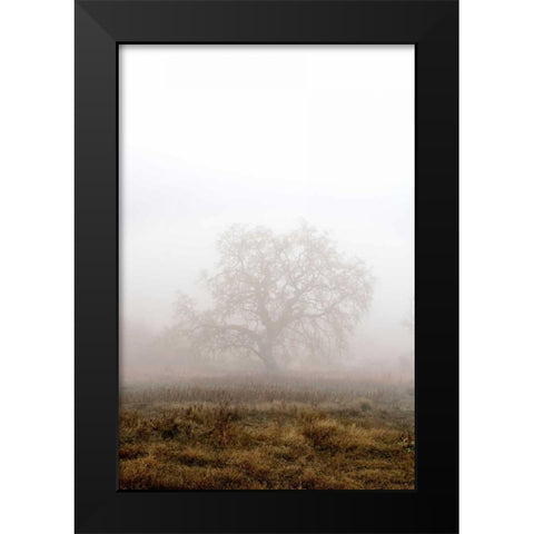 Oak Tree - 29 Black Modern Wood Framed Art Print by Blaustein, Alan
