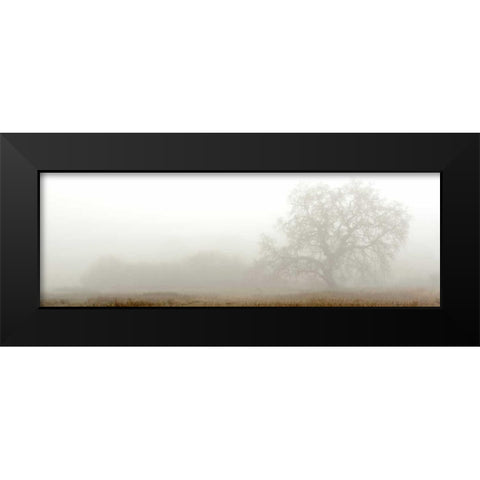 Oak Tree - 27 Black Modern Wood Framed Art Print by Blaustein, Alan