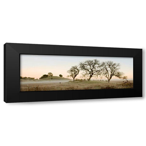 Oak Tree - 32 Black Modern Wood Framed Art Print by Blaustein, Alan