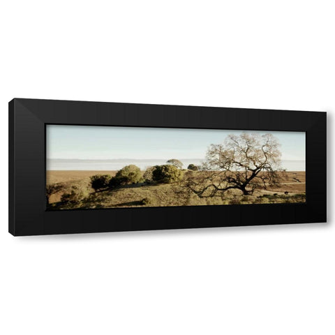 Oak Tree - 37 Black Modern Wood Framed Art Print with Double Matting by Blaustein, Alan