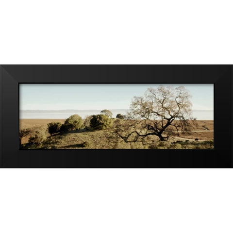 Oak Tree - 37 Black Modern Wood Framed Art Print by Blaustein, Alan