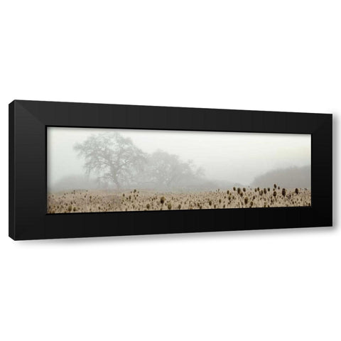 Oak Tree - 60 Black Modern Wood Framed Art Print by Blaustein, Alan