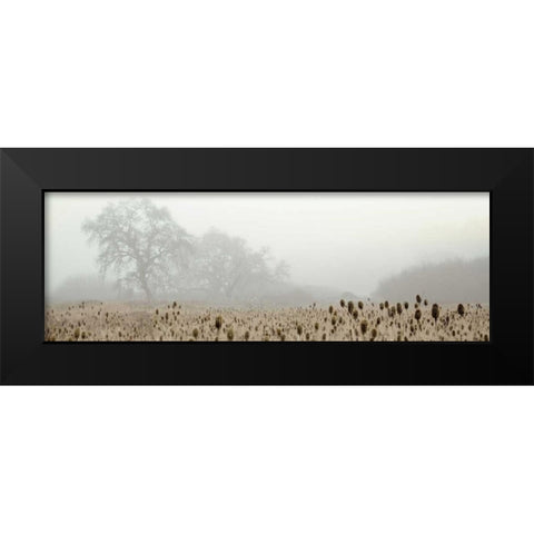 Oak Tree - 60 Black Modern Wood Framed Art Print by Blaustein, Alan