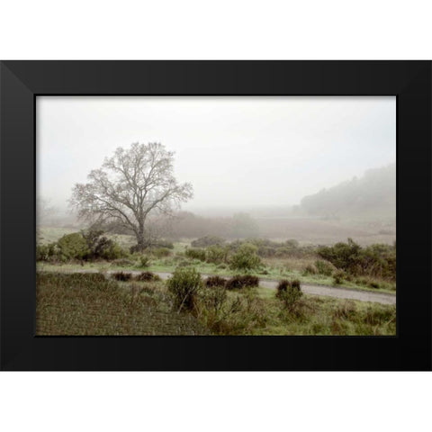 Oak Tree - 57 Black Modern Wood Framed Art Print by Blaustein, Alan