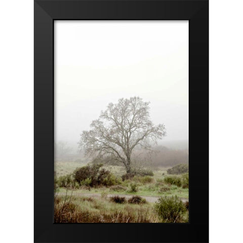 Oak Tree - 56 Black Modern Wood Framed Art Print by Blaustein, Alan