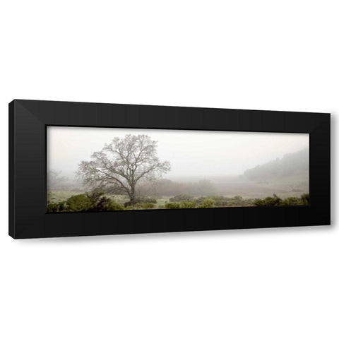 Oak Tree - 55 Black Modern Wood Framed Art Print by Blaustein, Alan